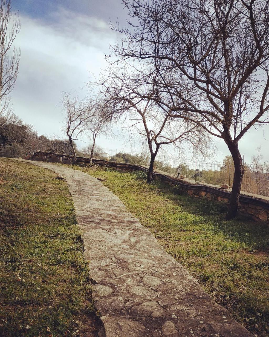 Ignacia - Naturaleza Entre Ronda Y Setenil 2* Arriate