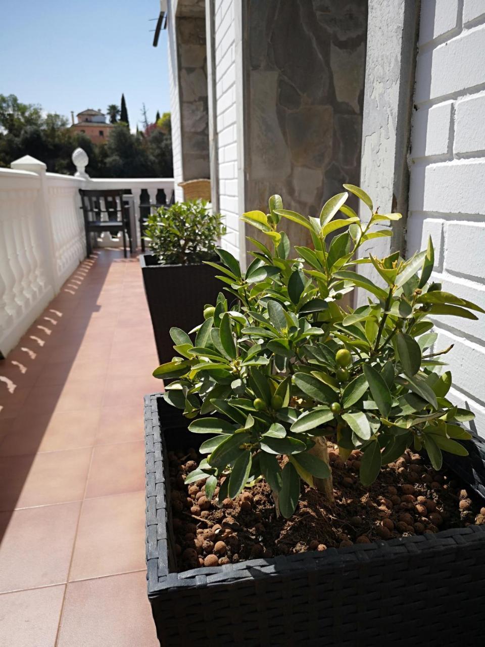 Ignacia - Naturaleza Entre Ronda Y Setenil
